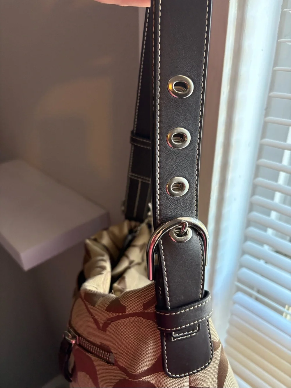 Coach Carly Hobo Bag
